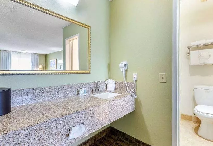 سوییت, The Buena Park Hotel & Suites