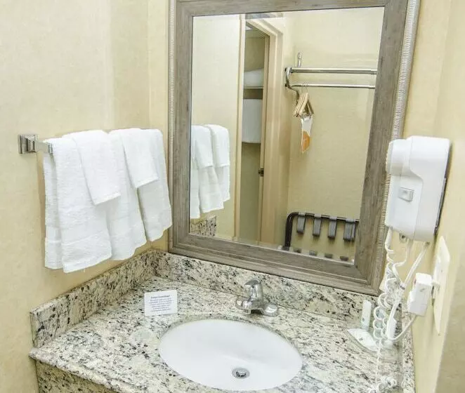 ２ダブルベッドのスタンダードルーム, Quality Inn & Suites Coldwater Near I69