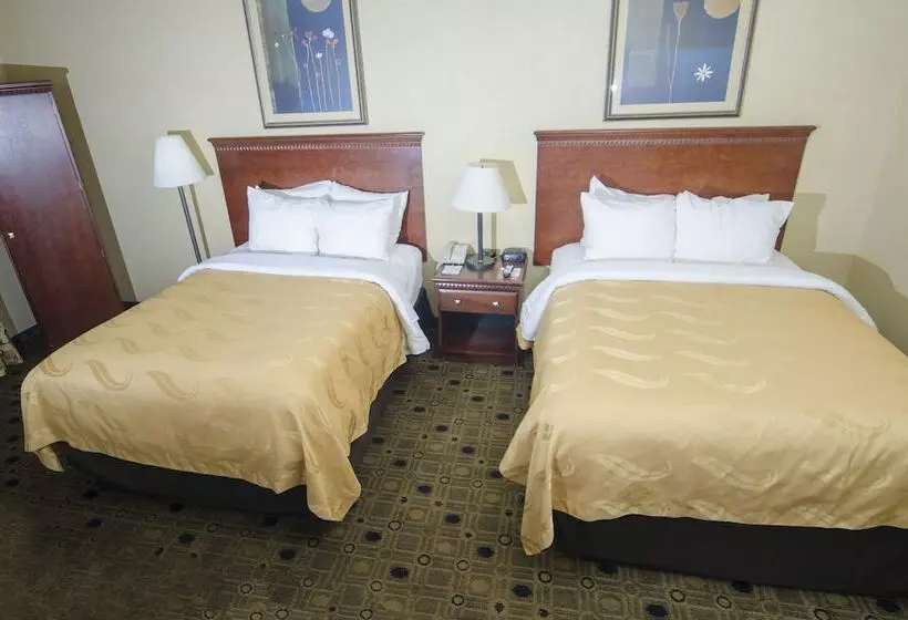 ２ダブルベッドのスタンダードルーム, Quality Inn & Suites Coldwater Near I69