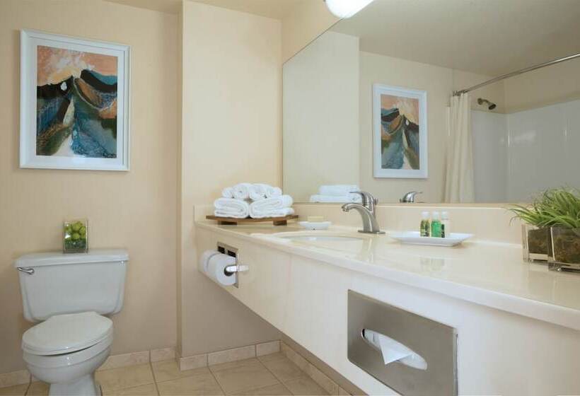 غرفة كلاسيكية, Tropicana Laughlin