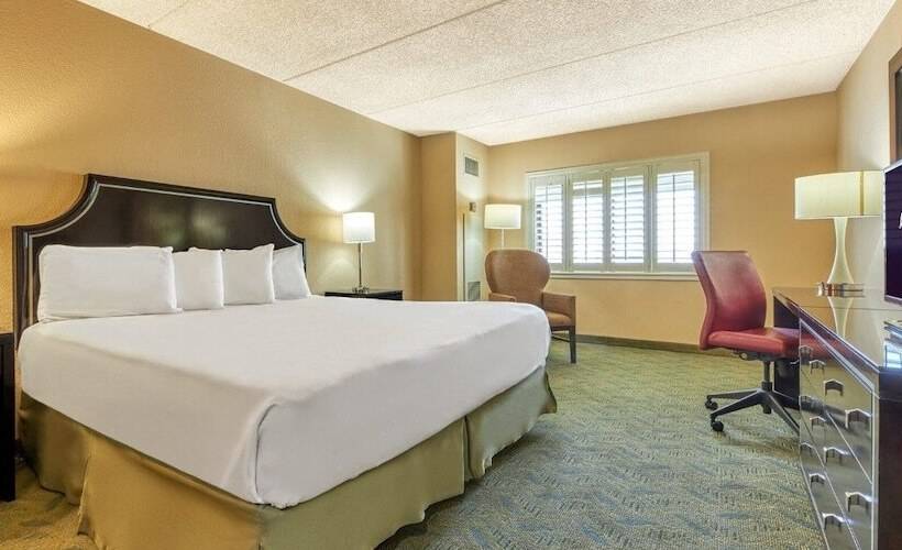 חדר קלאסי, Tropicana Laughlin