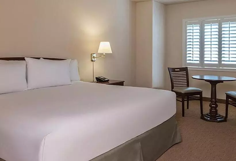 اتاق کلاسیک با تخت دونفره, Tropicana Laughlin