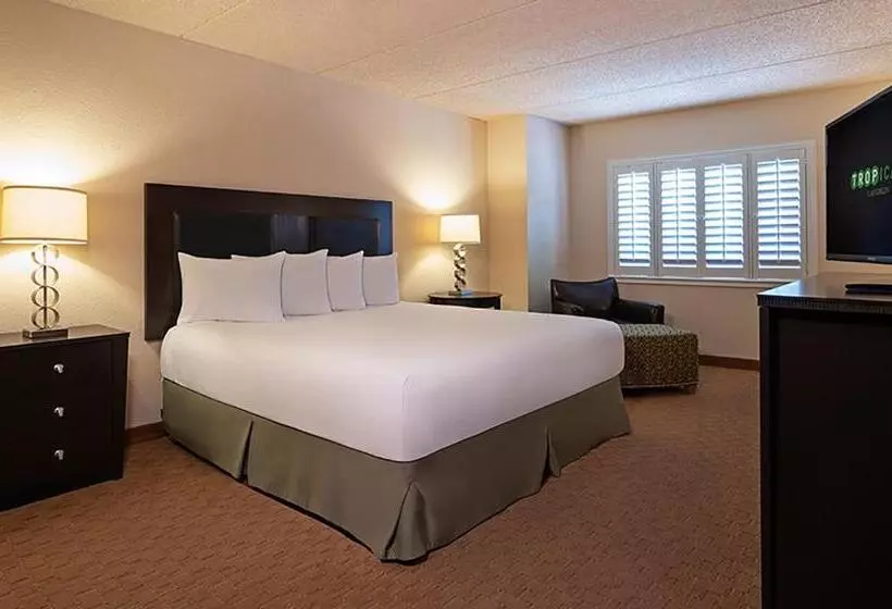 اتاق لوکس با تخت بزرگ, Tropicana Laughlin