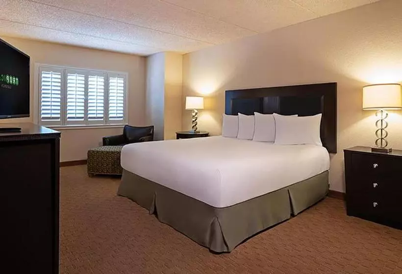 اتاق لوکس با تخت بزرگ, Tropicana Laughlin