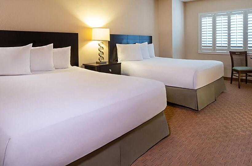 חדר דלוקס, Tropicana Laughlin