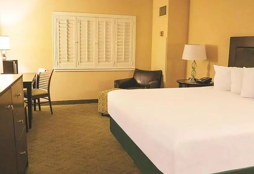 اتاق لوکس با تخت بزرگ, Tropicana Laughlin
