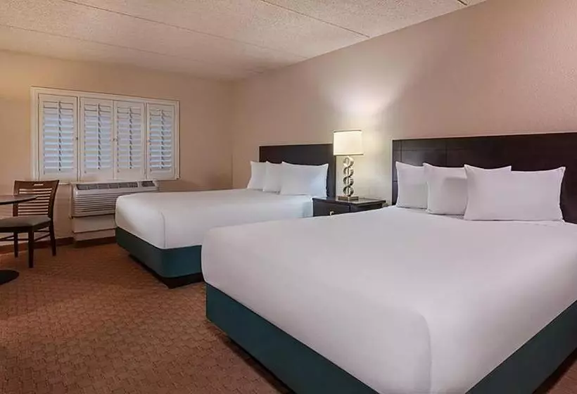 اتاق استاندارد با چشم‌انداز, Tropicana Laughlin