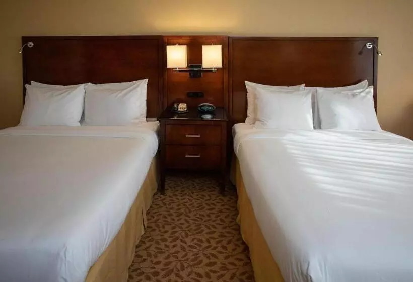 Standard-huone, Jake S 58 Casino Hotel   Adults Only