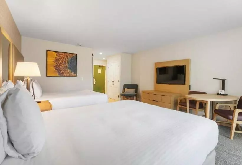 اتاق استاندارد, Pala Mesa Resort