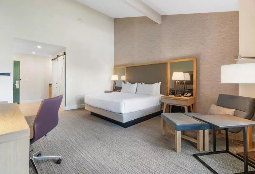 اتاق استاندارد با تخت بزرگ, Pala Mesa Resort