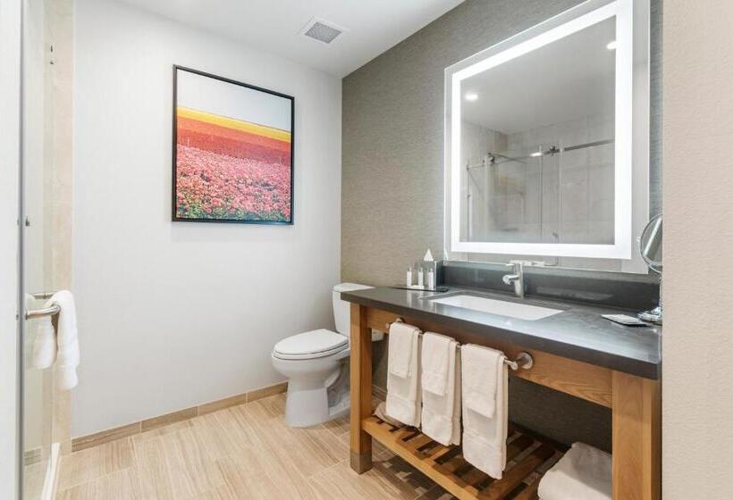 豪华房间, Pala Mesa Resort