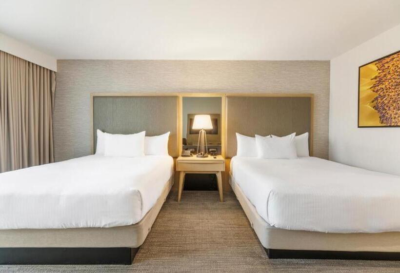 豪华房间, Pala Mesa Resort