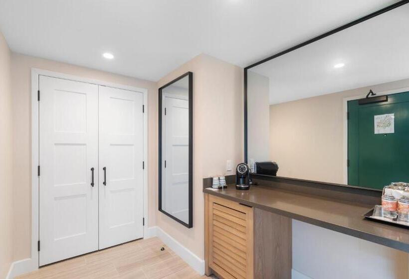 高级单人间, Pala Mesa Resort