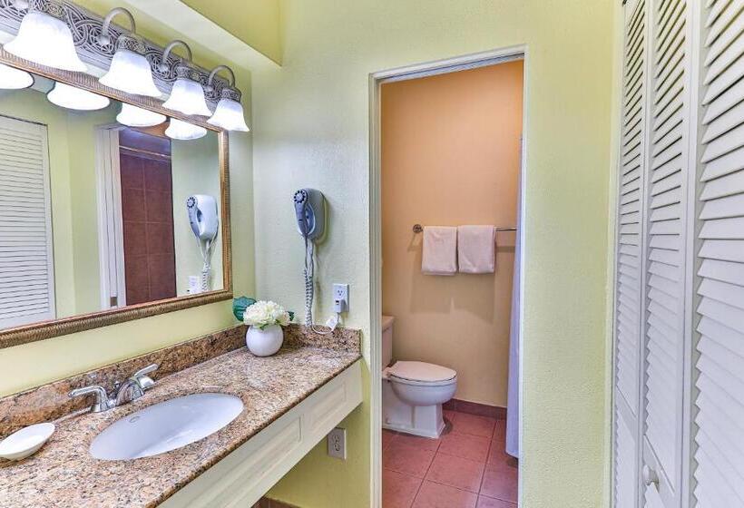 Стандартный Номер Кровать Кинг, Plantation Resort On Crystal River, Ascend Hotel Collection