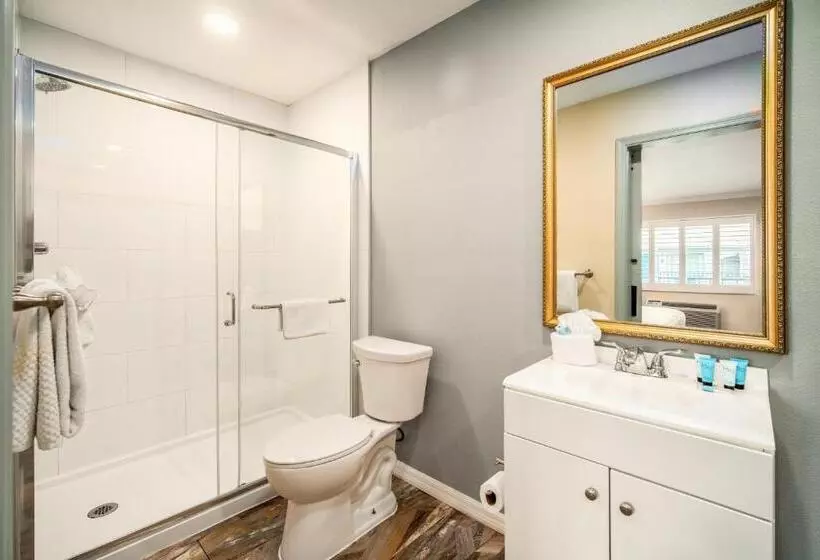 اتاق استاندارد با تخت بزرگ, The Buena Park Hotel & Suites