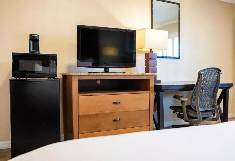 اتاق استاندارد با تخت بزرگ, The Buena Park Hotel & Suites