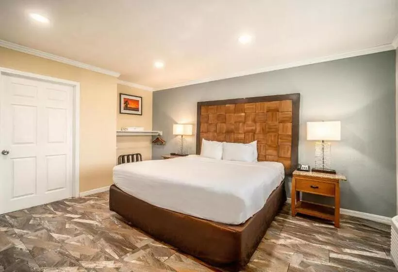 اتاق استاندارد با تخت بزرگ برای معلولان, The Buena Park Hotel & Suites