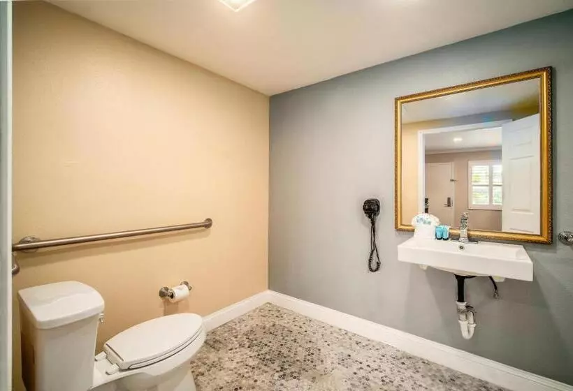 اتاق استاندارد با تخت بزرگ برای معلولان, The Buena Park Hotel & Suites