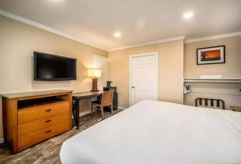 اتاق استاندارد با تخت بزرگ برای معلولان, The Buena Park Hotel & Suites