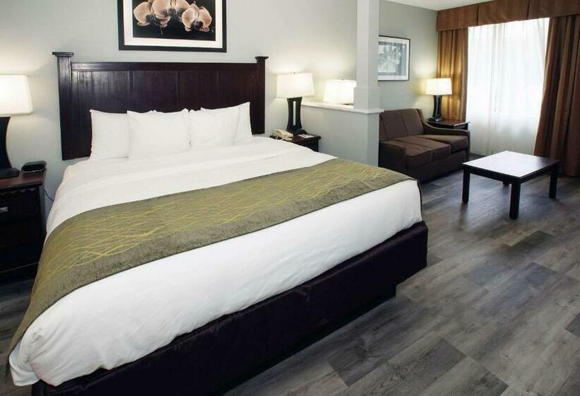 스탠다드 룸, Best Western Paramus Hotel & Suites