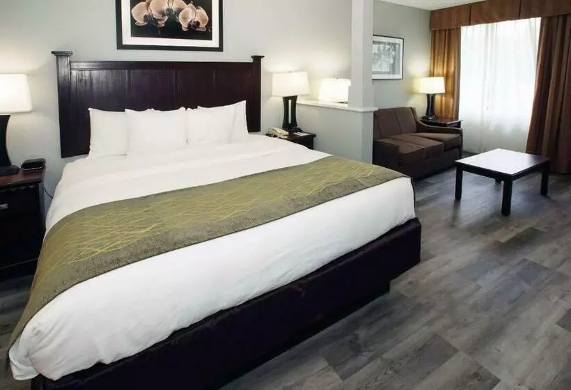 スタンダードルーム, Best Western Paramus Hotel & Suites