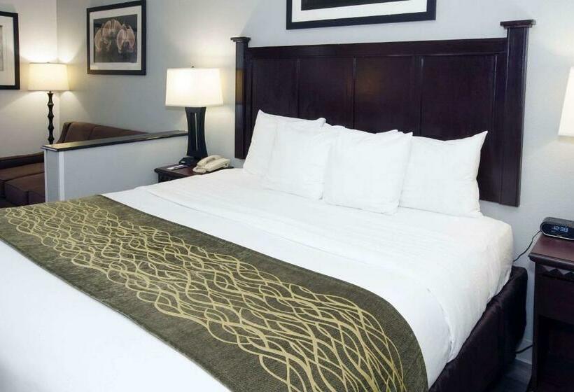 标准间, Best Western Paramus Hotel & Suites