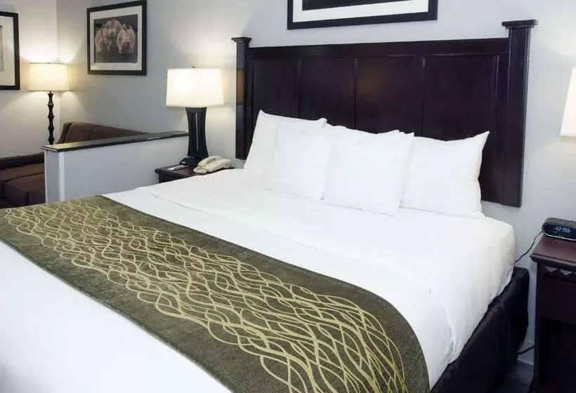 スタンダードルーム, Best Western Paramus Hotel & Suites