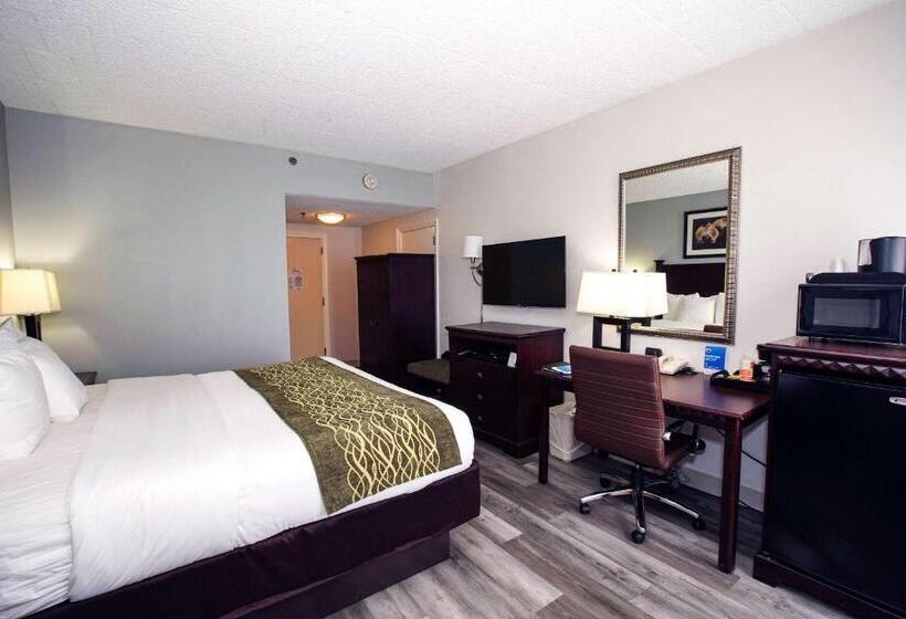 스탠다드 룸 킹사이즈 침대, Best Western Paramus Hotel & Suites