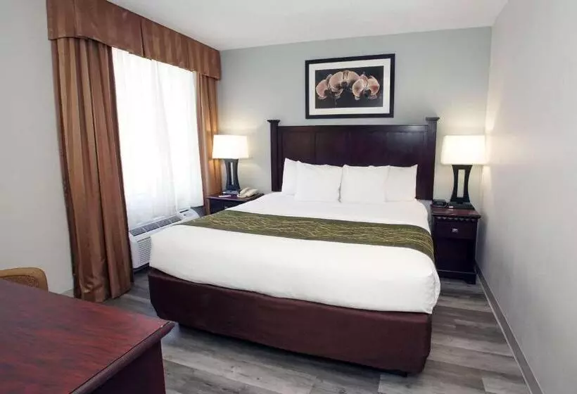 ２ベッドスイートルーム, Best Western Paramus Hotel & Suites