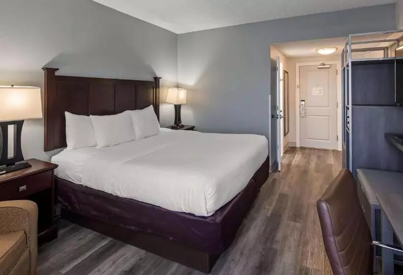 身障者適用キングサイズベッドルーム, Best Western Paramus Hotel & Suites
