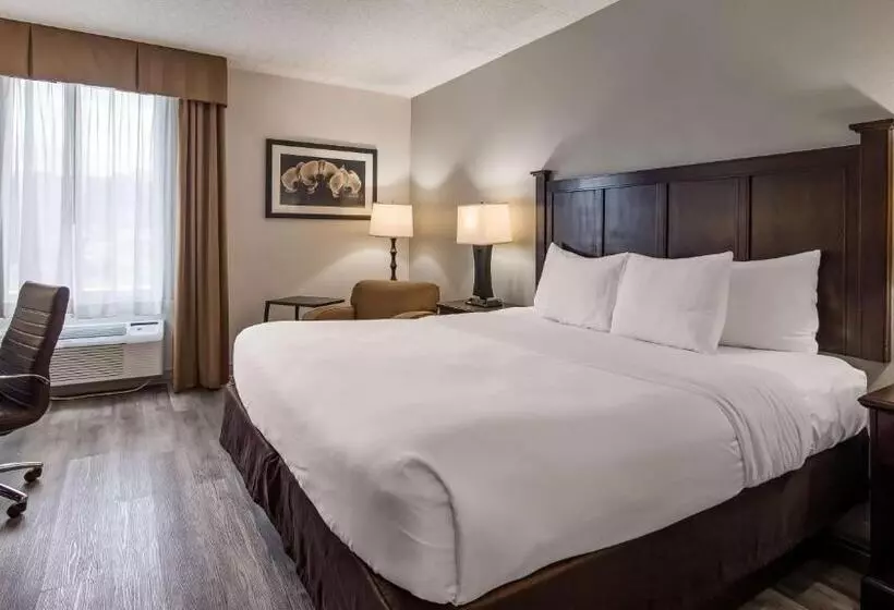 身障者適用キングサイズベッドルーム, Best Western Paramus Hotel & Suites