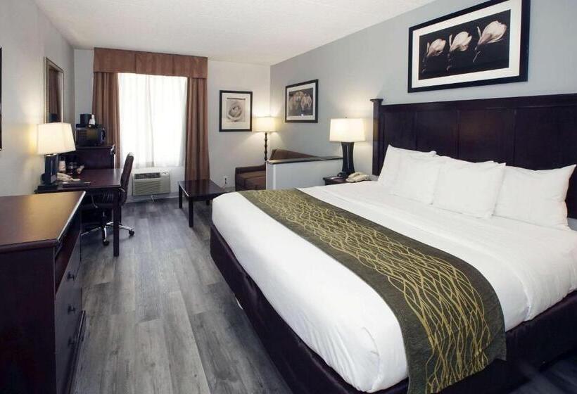 带大床的套房, Best Western Paramus Hotel & Suites