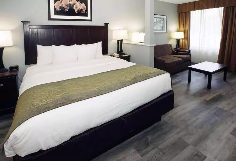 キングサイズベッドのスイートルーム, Best Western Paramus Hotel & Suites