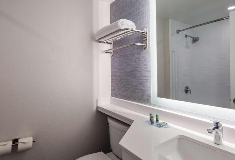 适合残疾人士使用的带超级大床的标准间, Best Western Paramus Hotel & Suites