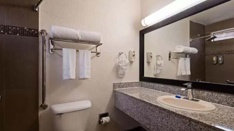 キングサイズベッドのスタンダードルーム, Best Western Americana Inn