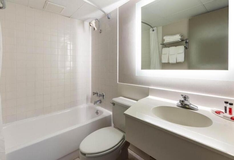 장애인을 위한 킹사이즈 침대 스탠다드 룸, Days Inn By Wyndham Sandusky Cedar Point