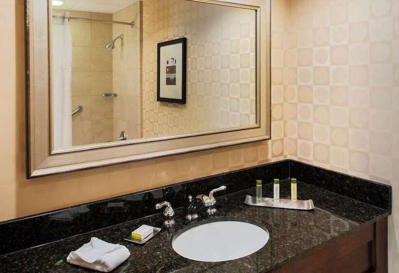 Номер Стандарт, Doubletree By Hilton Omaha Downtown