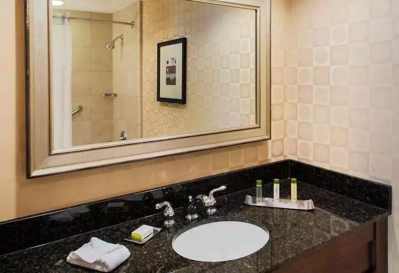 اتاق استاندارد, Doubletree By Hilton Omaha Downtown