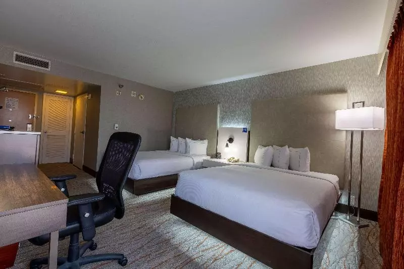 スタンダードルーム, Doubletree By Hilton Dallas Richardson