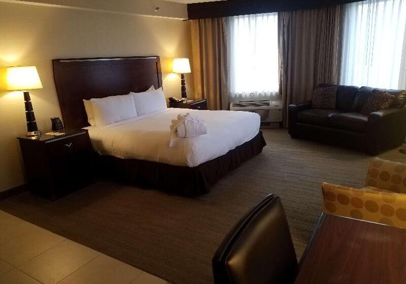 Номер Deluxe Кровать Кинг, Doubletree By Hilton Denver Thornton