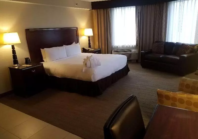 キングサイズベッドのデラックスルーム, Doubletree By Hilton Denver Thornton