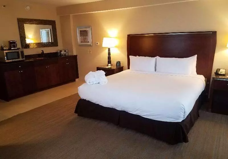 キングサイズベッドのデラックスルーム, Doubletree By Hilton Denver Thornton