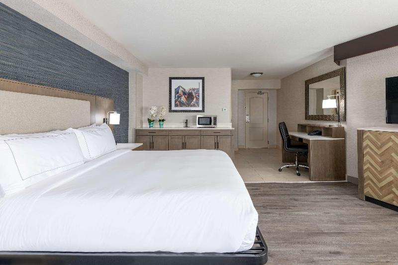 带大床的豪华间, Doubletree By Hilton Denver Thornton