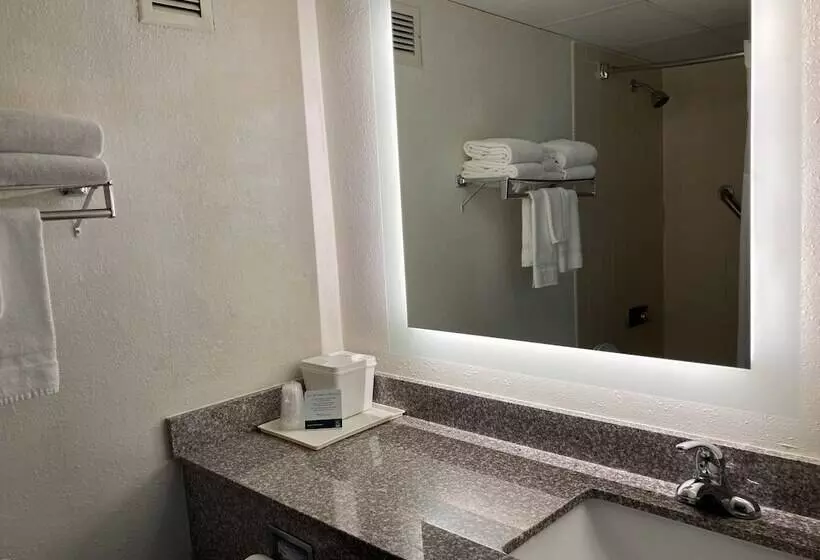 ２ダブルベッドのスタンダードルーム, Quality Inn & Conference Center
