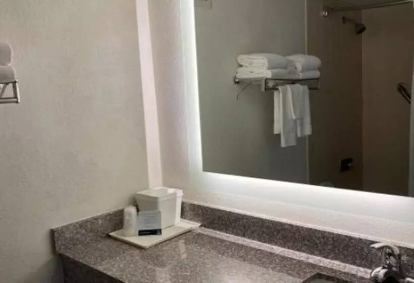 身障者適用スタンダードルーム, Quality Inn & Conference Center