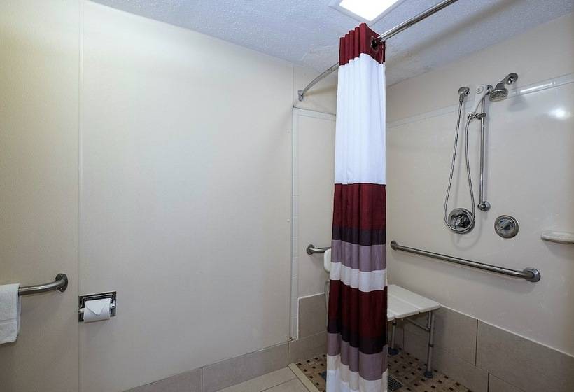 豪华房间, Red Roof Inn Cincinnati East  Beechmont