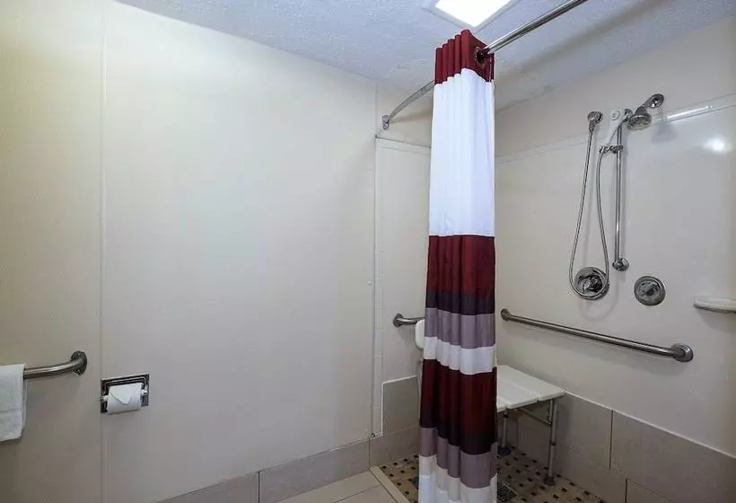 障害者適応デラックスルーム, Red Roof Inn Cincinnati East  Beechmont