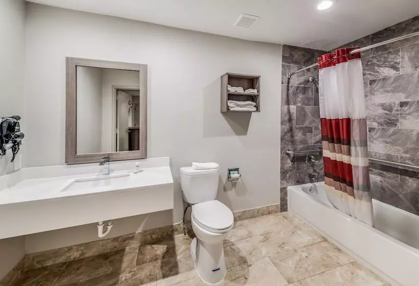 Deluxe-huone Soveltuu Liikuntarajoitteisille, Red Roof Inn Lewisville