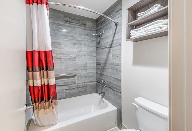 디럭스 룸, Red Roof Inn Lewisville