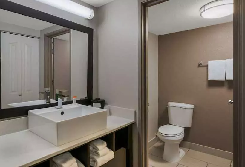 プレミアムルーム, Red Roof Inn Plus+ & Suites Knoxville West Cedar Bluff